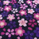 Sevenberry - Fleurs