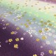 Asano - Purple clover