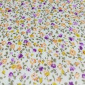 Sunwell - Multicolored flowers