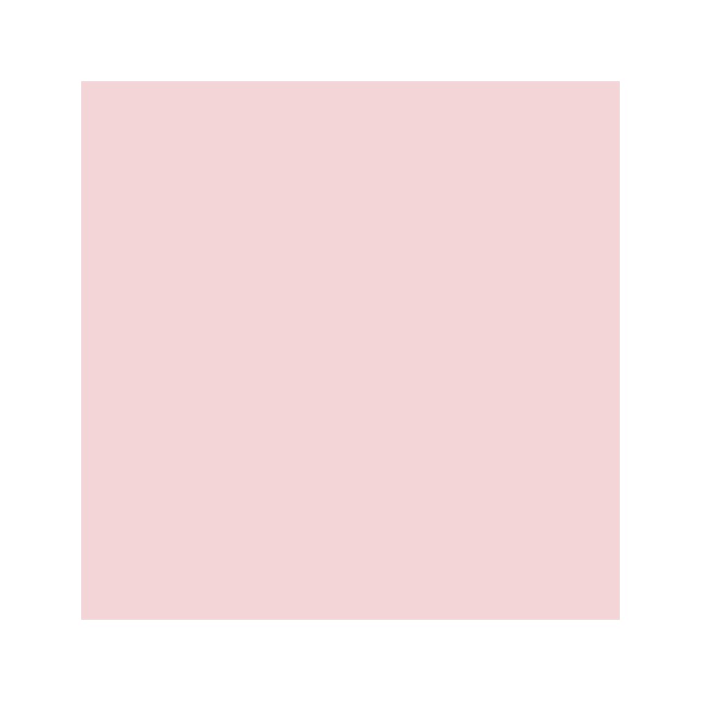 Coton rose