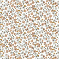 Coton flowers