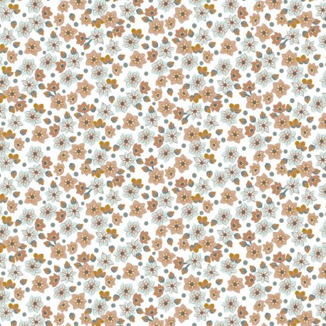 Coton flowers