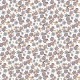 Coton flowers