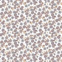 Coton flowers