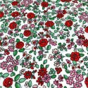 Cosmo - Rot Blüten