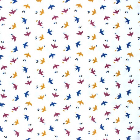 Cotone graphic