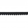 Pompons ribbon