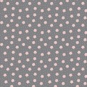 Coton flowers