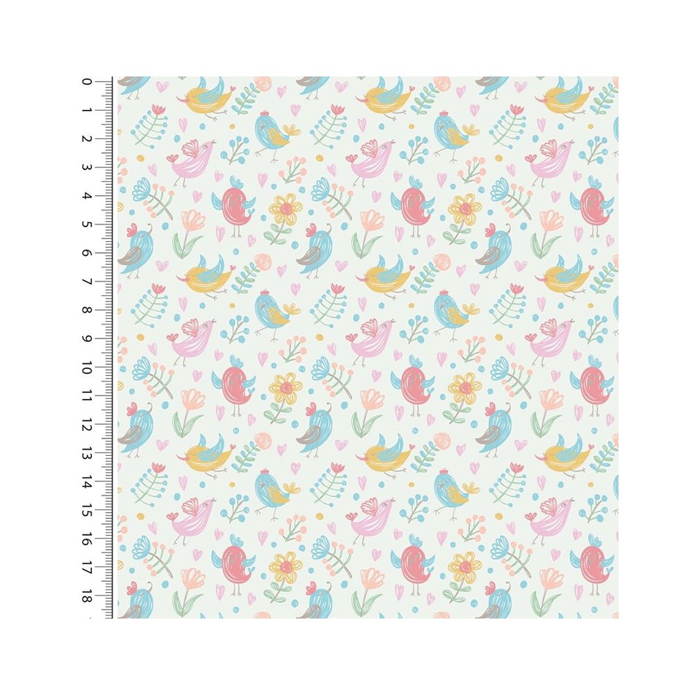 Coton birds