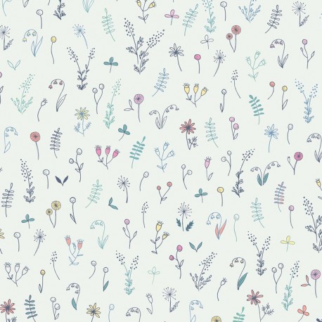 Cotone flowers field
