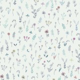 Cotone flowers field
