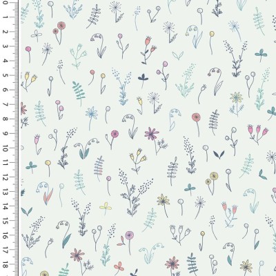 Cotone flowers field
