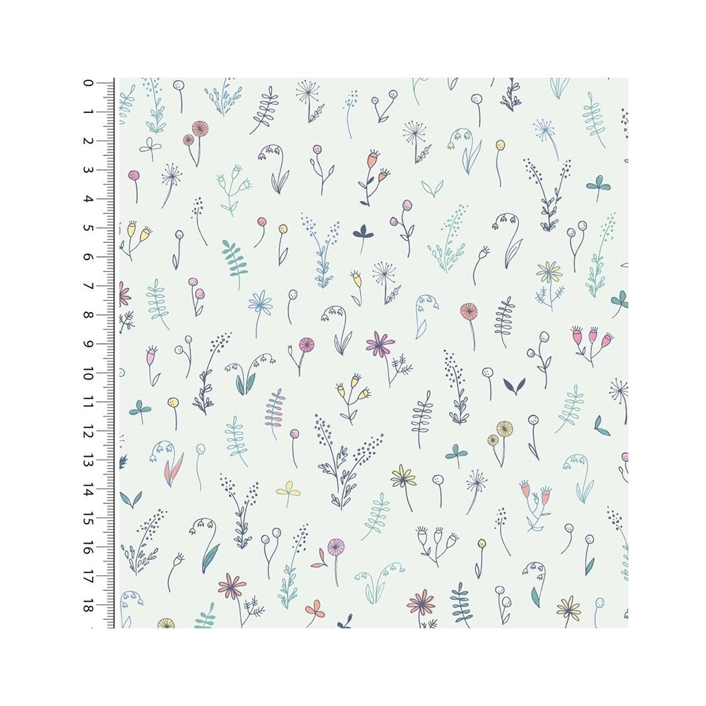 Coton flowers field