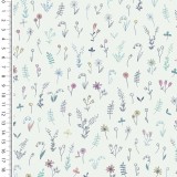 Coton flowers field