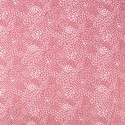 Dancing stars cotton
