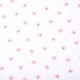 Coton flowers