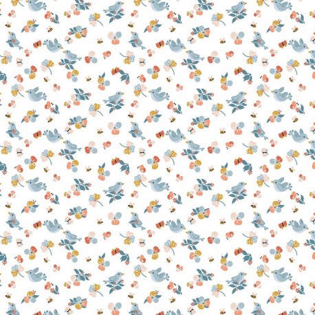 Coton birds