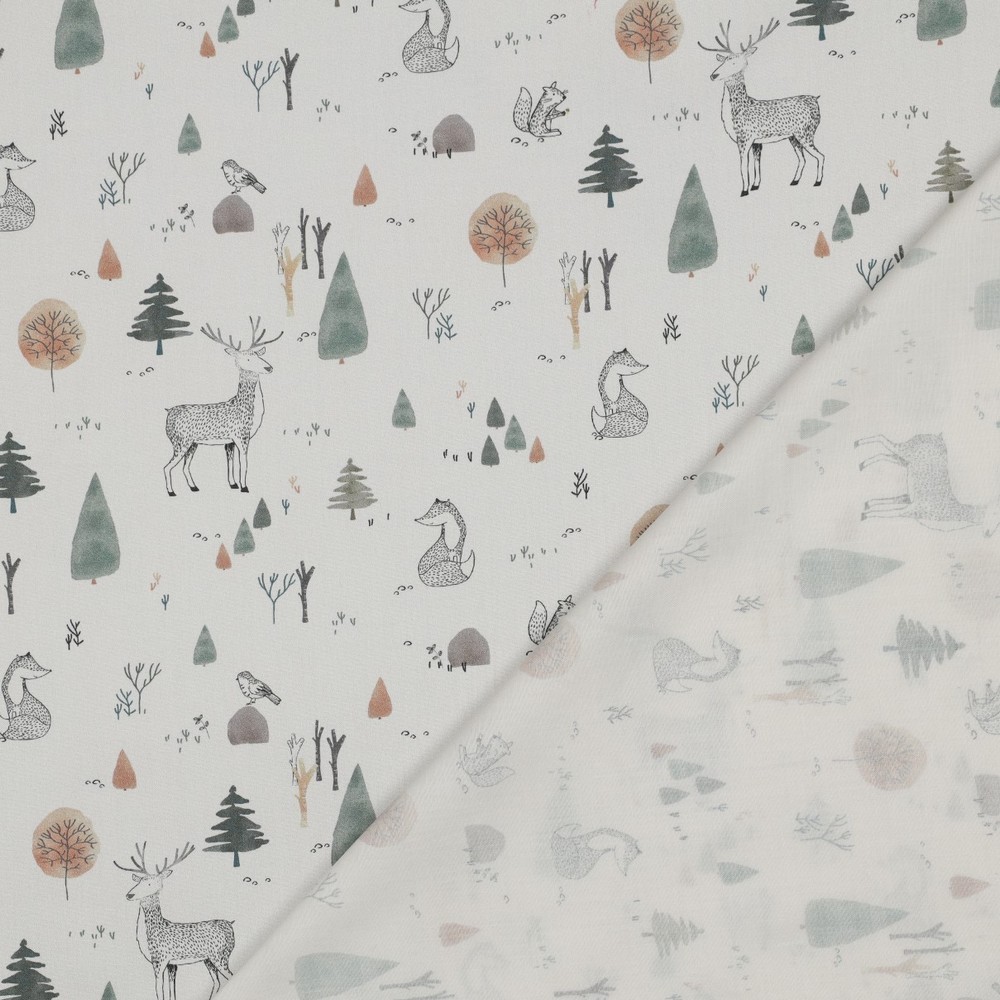 Coton forest animals