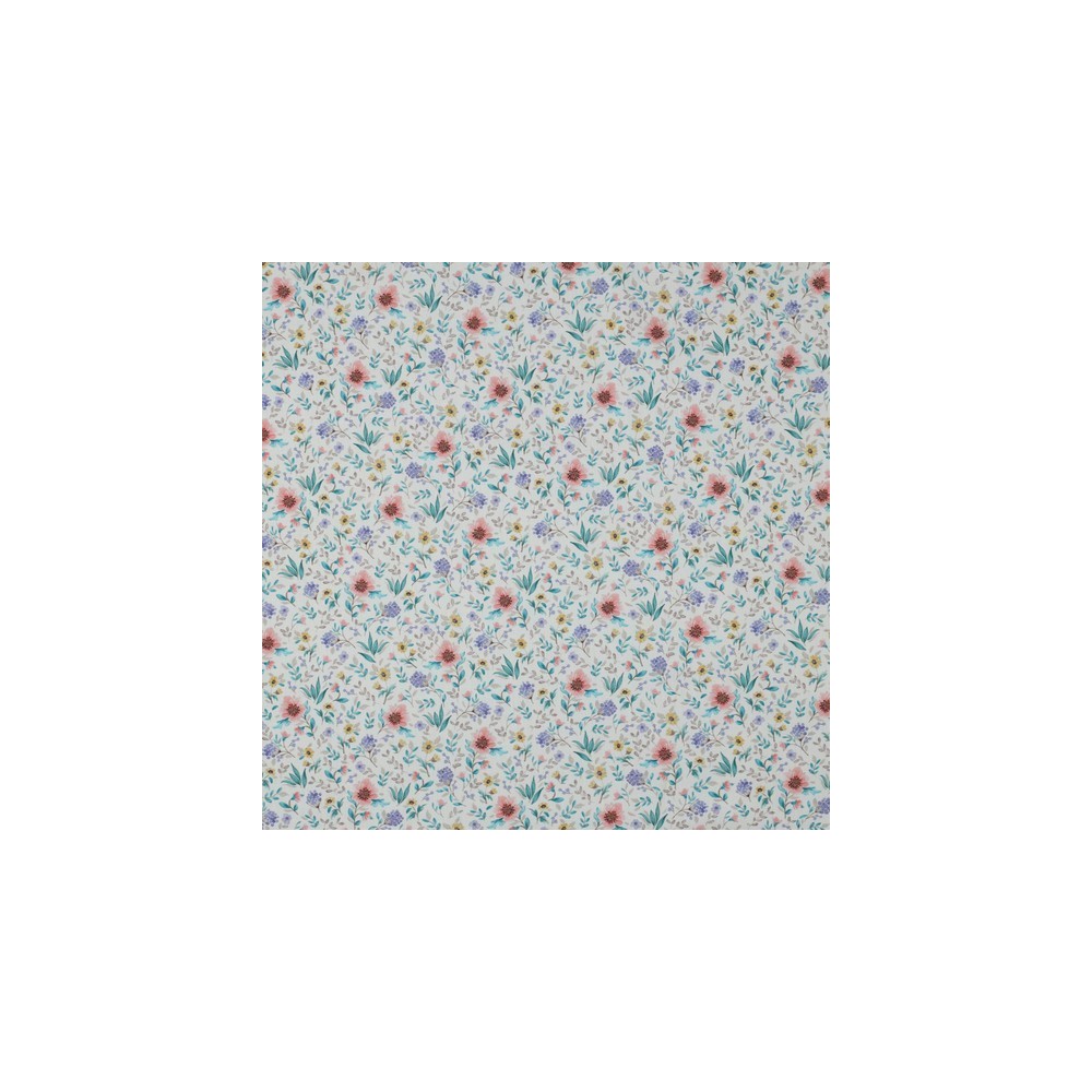 Cotone fresh flowers