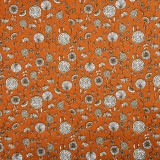 Coton dandelion
