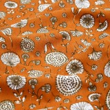 Cotton dandelion