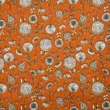 Cotton dandelion