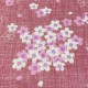 Morikiku - Fleurs sakura rose