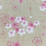 Morikiku - Sakura fiori crema