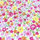 Cotton Kobayashi - Flowers